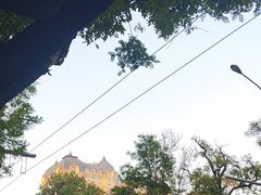 -北京协和医院(东单院区)