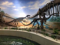 -延庆地质公园博物馆