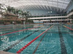 -龙脉温泉室内游泳馆