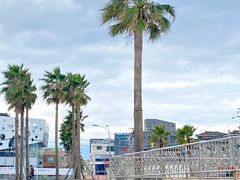 -咸德海水浴场