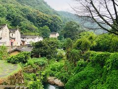 -雁南飞茶田景区
