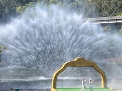 -西双版纳原始森林公园