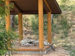 -石家庄市动物园