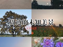 -汉长安城未央宫国家考古遗址公园