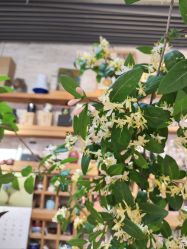 -今日陶艺(富力广场店)