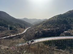 -王莽岭风景区