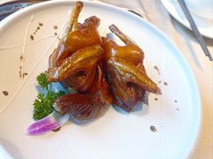 -旺金鸽·传承15年老字号·手工早茶(荔湾坦尾桥中店)
