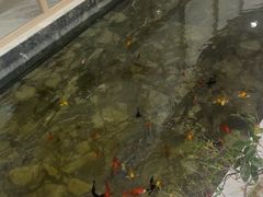 -明经堂中医馆(丽都店)
