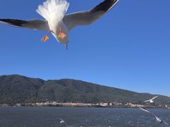 -捞渔河湿地公园