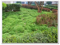 -陕西师范大学(雁塔校区)