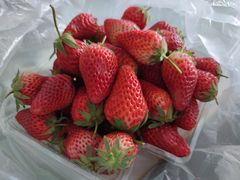 草莓-北京清河镇农副产品交易市场中心