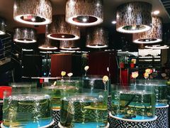 海鲜档-蓬川食府(金海道店)