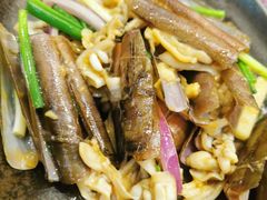 -欢乐海岸美食联盟