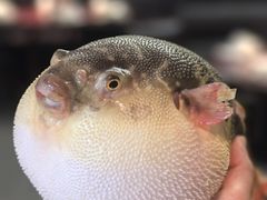 -永安鱼庄·镇江菜(东吴路店)