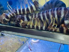 -富来美食(成发大厦店)