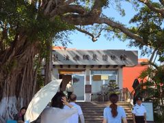 -鼓浪屿钢琴博物馆