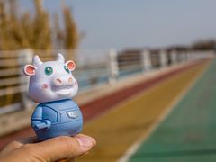 -贡湖湾湿地公园