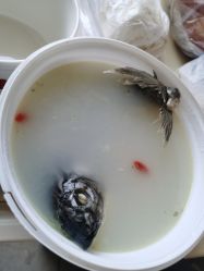 -沈阳市妇婴医院