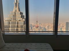 -上海柏悦酒店