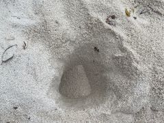-映月湖中央公园