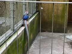 -宁波野生动物园