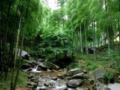 -众神白水涧景区