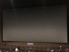 -天幕新彩云国际影城(激光巨幕店)