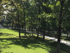 -重庆市江北嘴中央商务区中央公园