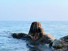 -巧克力渔家.小船海鲜家常菜(万平口店)