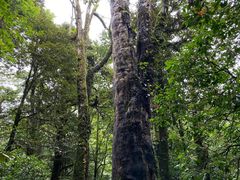 -龙苍沟森林公园