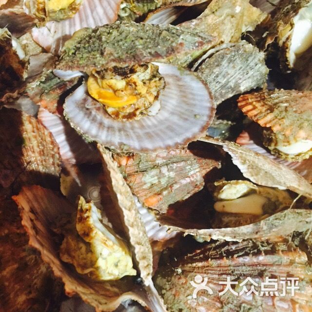 吉祥胶东小海鲜-图片-北京美食-大众点评网
