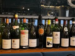 -Wine Universe 宇宙酒馆