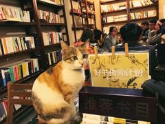 -看书吧(体育东横路店)
