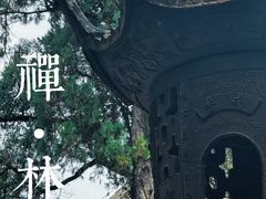 -洛阳白马寺