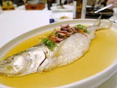 -皇朝尊会(龙之梦大酒店)