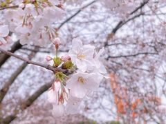 -龙美术馆(西岸馆)