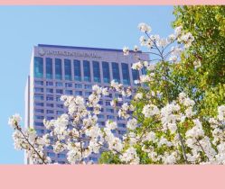 -无锡君来洲际酒店·宴会厅