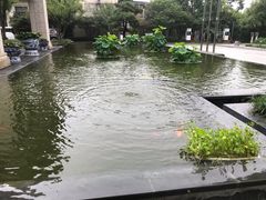 -东航云逸酒店(九溪烟树店)