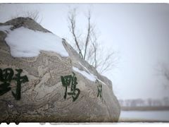 -野鸭湖国家湿地公园