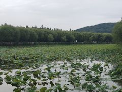 -三山岛