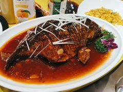 -津悦·正阳春烤鸭(红旗南路店)