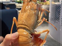 -半岛听涛蒸汽海鲜自助(K11店)