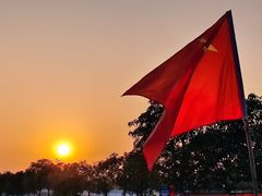 -大湾区中央湿地公园