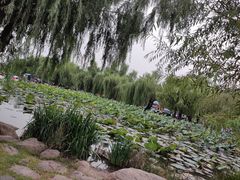 -长春市南湖公园