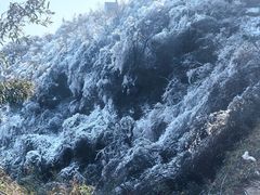 -长沙黑麋峰国家森林公园
