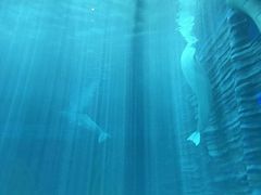 -亚龙湾海底世界
