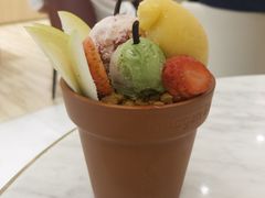 -哈根达斯(深圳海岸城店)