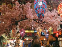 -吉祥圣雪藏餐