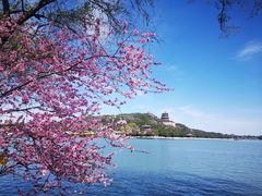 -颐和园