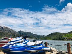 -天鹅湖生态旅游风景区
